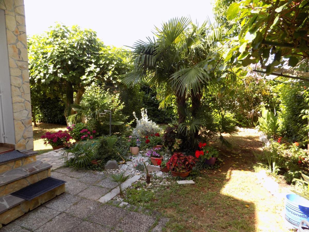 Oriella Apartmans And Room Novigrad  ภายนอก รูปภาพ